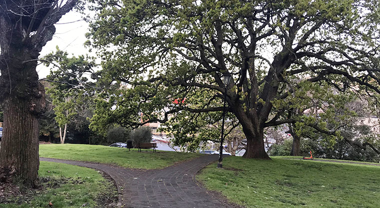 Constitution Hill - Section of path that goes through the park.