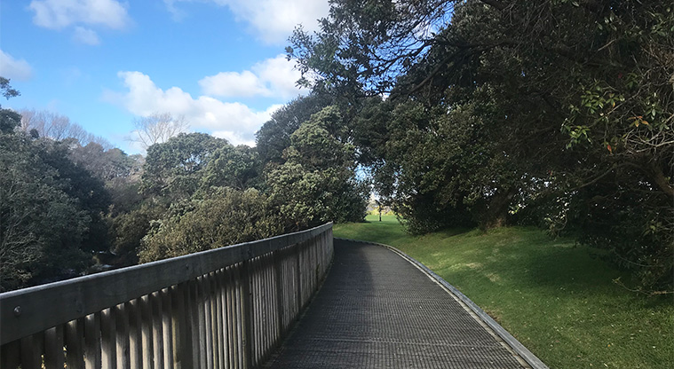 Cox's Bay Reserve - Section of the board walk around the reserve.
