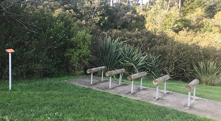 Cox's Bay Reserve - Fitness equipment.