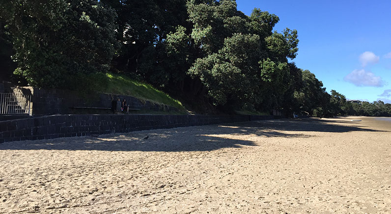 Coyle Park – Pt Chevalier beach with large trees in the background.