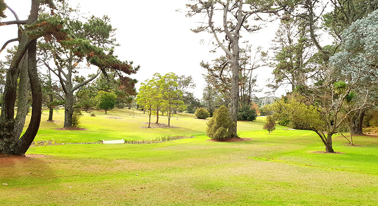 Craigavon Park - Large open space with established trees.