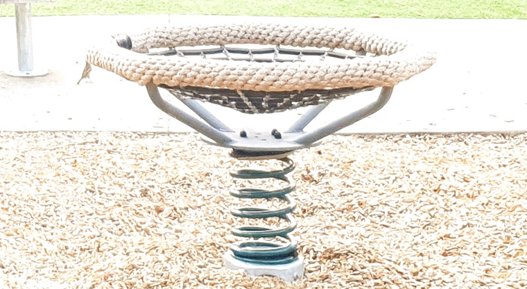 Craigavon Park – Rocker basket.