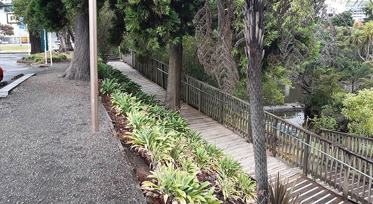 Cranwell Park - Looking down from the car park to the board walk along the stream.