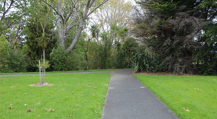 Cranwell Park - The intersection of two paths with open space and trees.