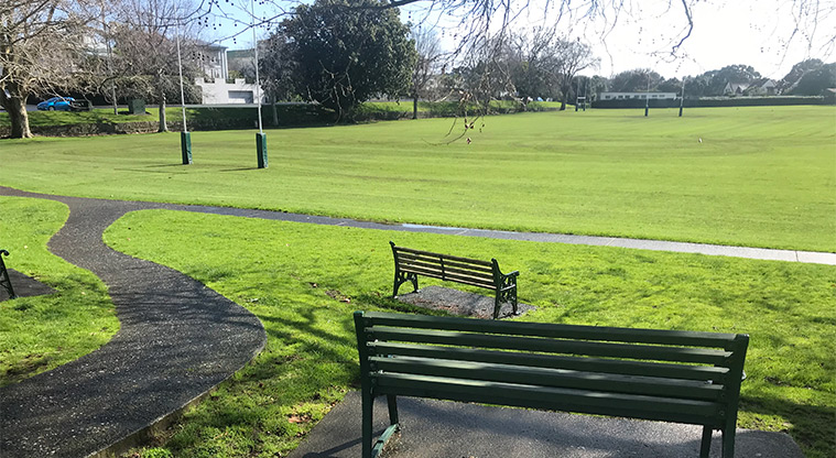 Devonport Domain - Sports field with seating and path in the front.