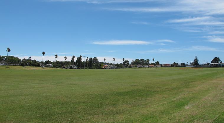 Dunkirk Reserve - Sports fields with trees and properties in the background.