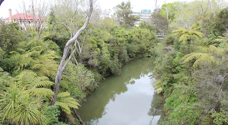 Falls Park - View of the Oratia Stream looking towards Henderson.