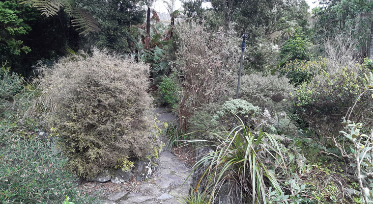 Fernglen Reserve - Stone path through a section of the garden.
