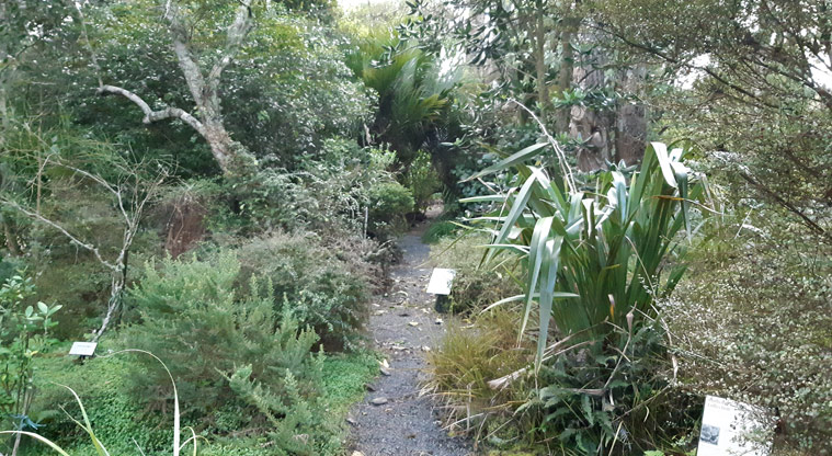 Fernglen Reserve - Section of gravel path through the garden with signs showing the types of plants.