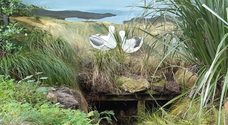 Fernglen Reserve - Seagull mural on a wall in the garden.