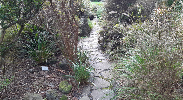 Fernglen Reserve - Stone path through a section of the garden.