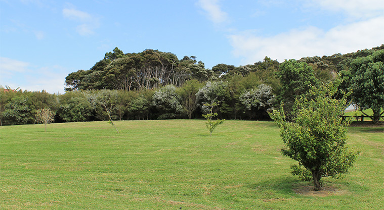 Ferry Road / Hawaiian Parade junction - Open grassed area with trees. Photo credit: M Loubser.