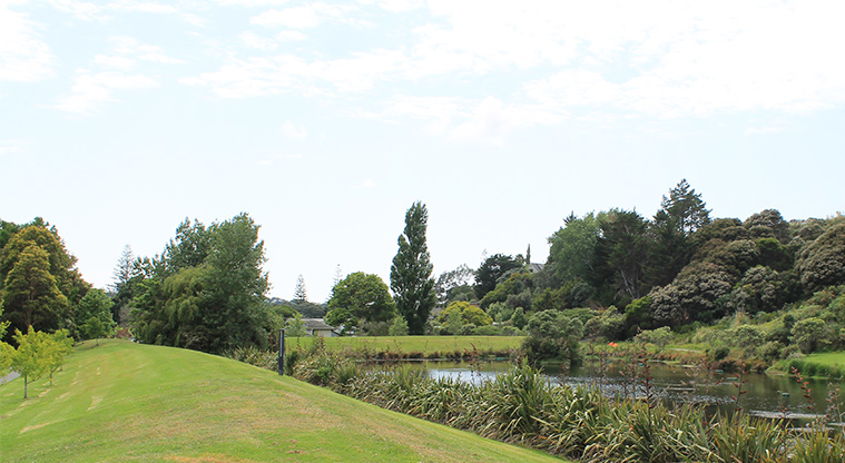 Ferry Road Stormwater Pond Reserve - Open space with the stormwater pond in the background. Photo credit: M Loubser.