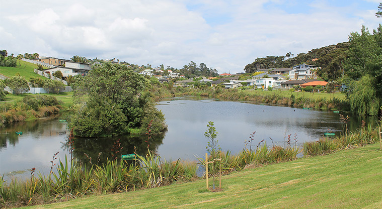 Ferry Road Stormwater Pond Reserve - Stormwater pond. Photo credit: M Loubser.