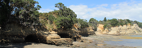 Fishermans Rock Reserve
