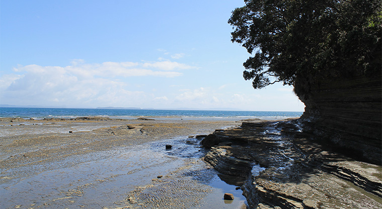 Fishermans Rock Reserve - Section of the beach. Photo credit: M Loubser.