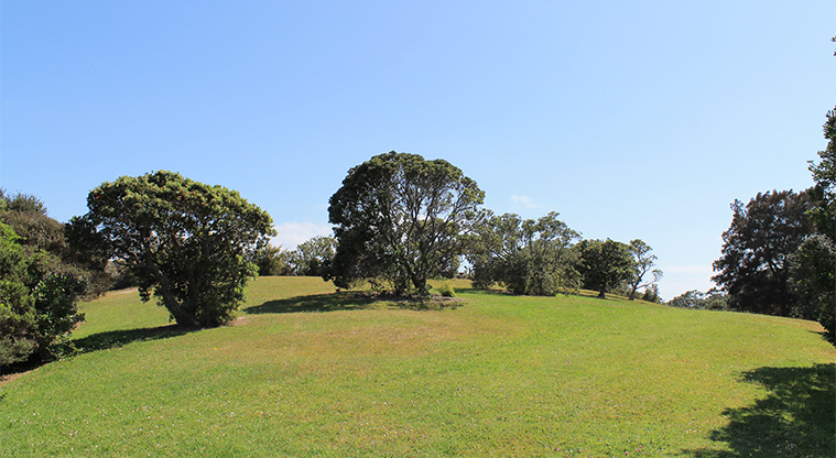 Fishermans Rock Reserve - Grassed hill with large trees. Photo credit: M Loubser.