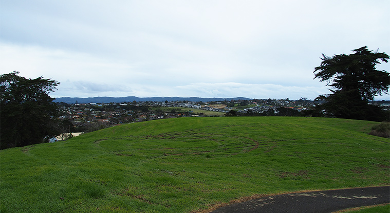 Flaunty Reserve - View from the top of the hill. Photo credit: T Hodder.