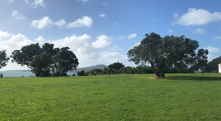 Fort Takapuna Reserve - Open space.