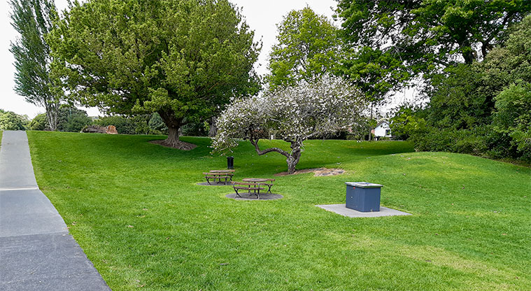 Fowlds Park - Electric barbecue with seating.