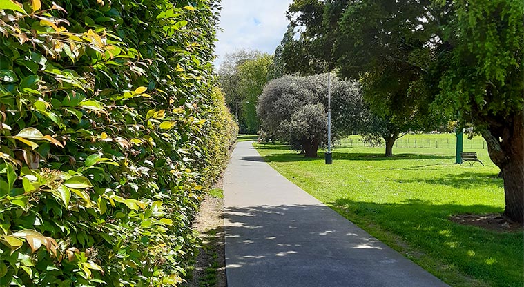 Fowlds Park - Path along fitness trail and edge of lower field.