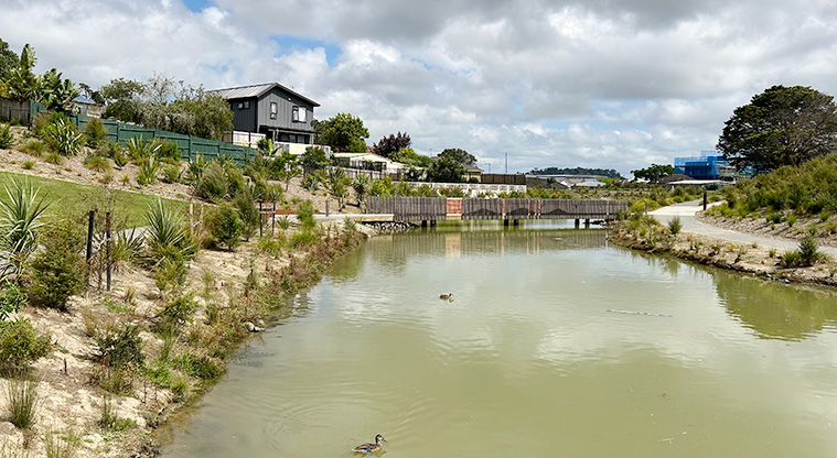 Freeland Reserve - Ducks swimming on a section of the pond and a bridge in the background. Photo credit: S Hulse.