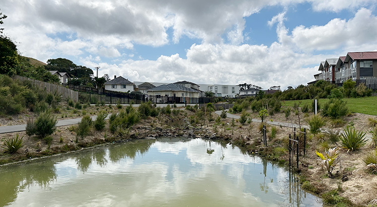 Freeland Reserve - A section of the pond with paths and plants on both sides. Photo credit: S Hulse.