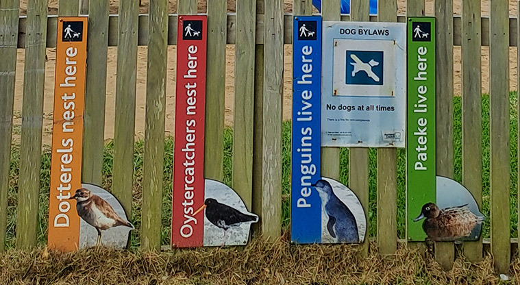 Gooseberry Flat - Signs showing that dotterel, oystercatchers, penguins and pāteke live and nest in the area.
