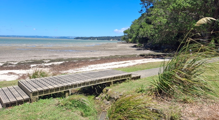 Tauihu / Green Bay Beach - Section of the boardwalk along the path by the beach. Photo credit: T Hodder.