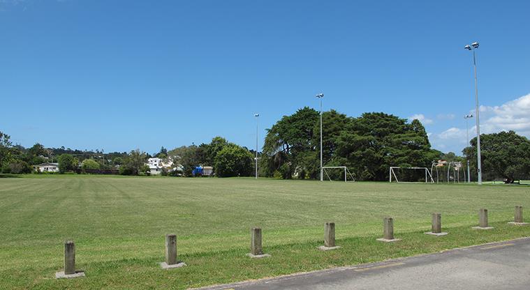 Greenhithe War Memorial Park - Section of the sports fields with flood lights and trees in the background.