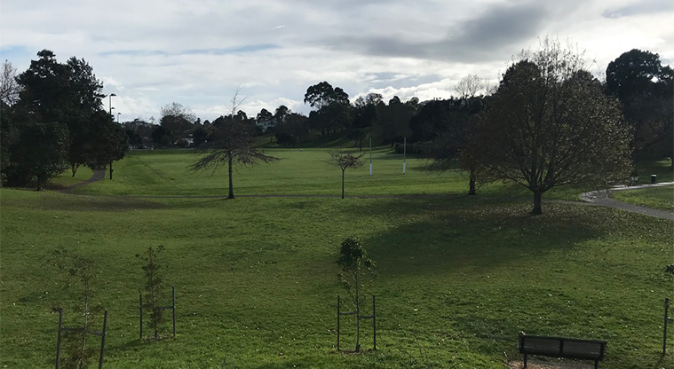 Grey Lynn Park - Open space with trees and seats.