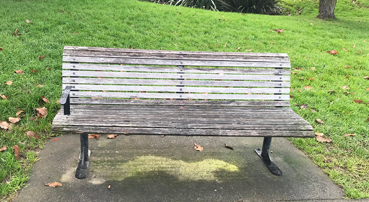 Grey Lynn Park - Seat.