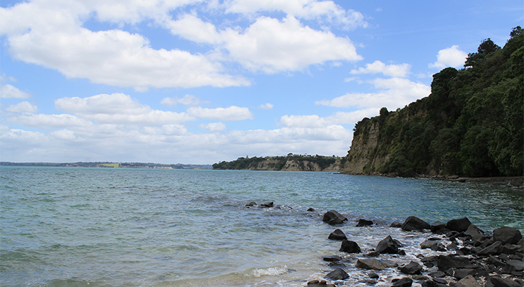 Gulf Harbour Marina Hammerhead Reserve - Looking out to Hobbs Bay. Photo credit: M Loubser.