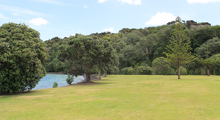Gulf Harbour Marina Hammerhead Reserve - Open grassed area with trees. Photo credit: M Loubser.