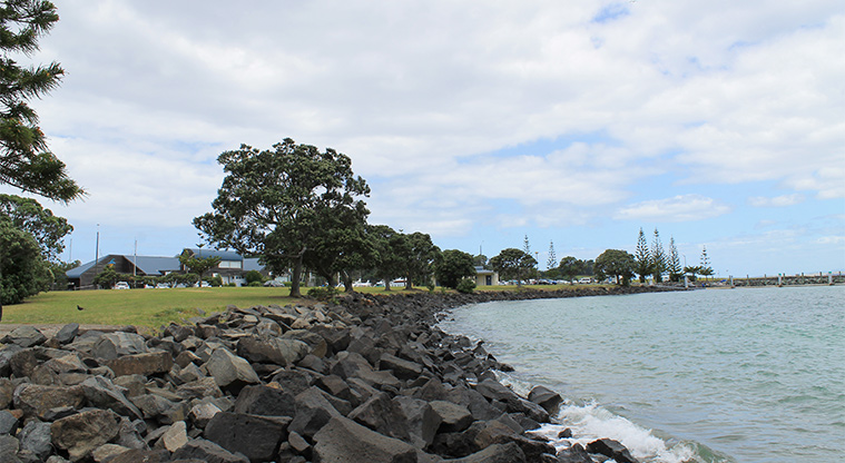 Gulf Harbour Marina Hammerhead Reserve - Looking along the edge of the bay. Photo credit: M Loubser.