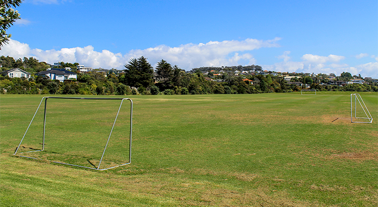 Gulf Harbour Recreation Reserve – Sports field with three soccer goals. Photo credit: M Loubser.