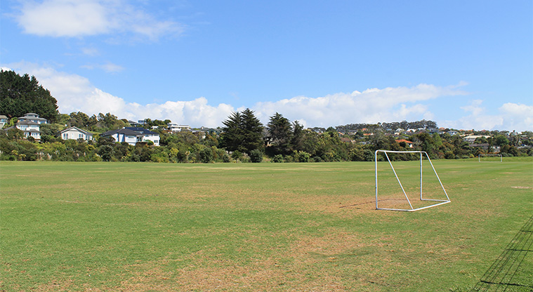 Gulf Harbour Recreation Reserve – Sports field with three soccer goals. Photo credit: M Loubser.