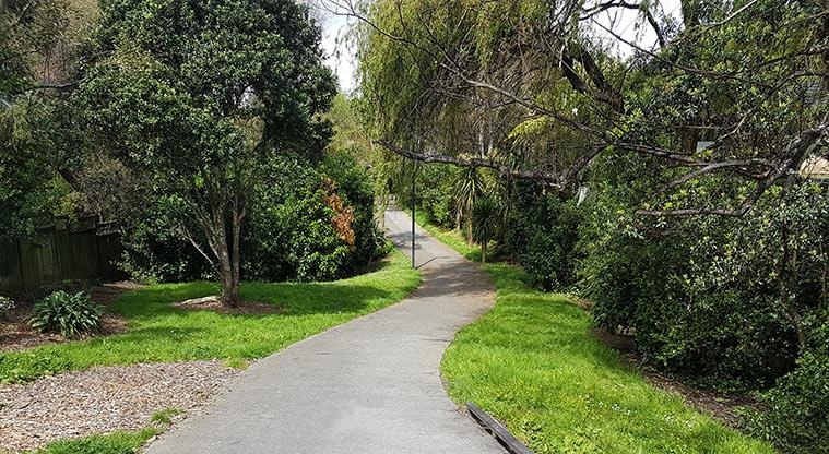 Hakanoa Reserve - Section of path through the reserve with trees and plants on both sides.