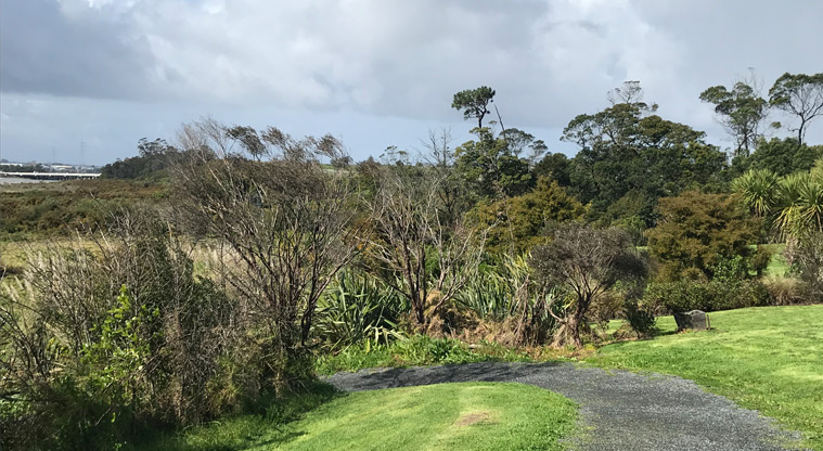 Harbourview - Orangihina Park - Section of gravel track going downhill between the trees.