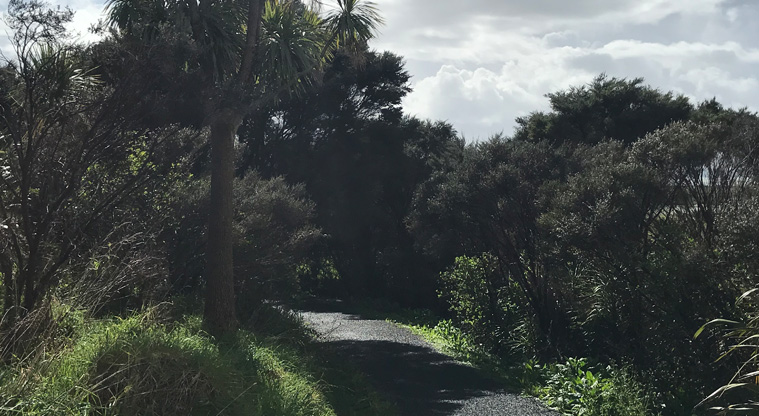 Harbourview - Orangihina Park - Section of gravel path going through the trees.