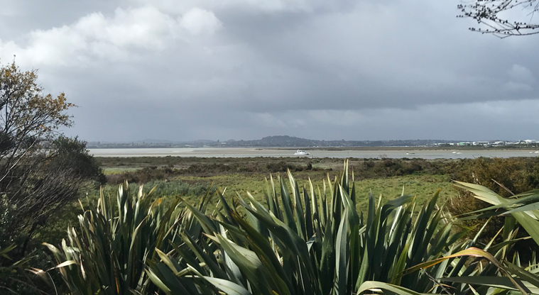 Harbourview - Orangihina Park - View across the harbour with flax and other trees in the foreground.