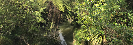 Harold Moody Reserve