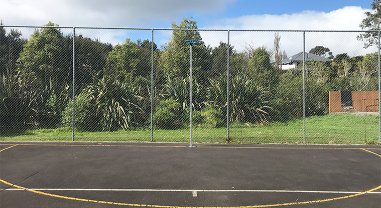 Harold Moody Reserve - Fenced netball court and hoop.
