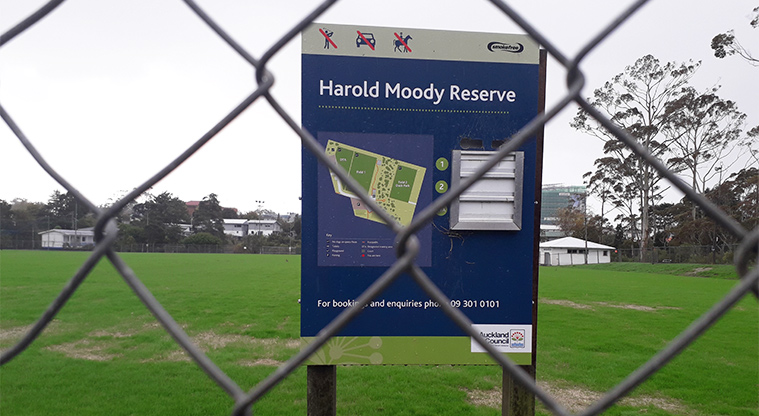 Harold Moody Reserve - Sports field with sign that shows the status of the fields.
