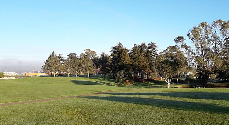 Manu-kau Noa Iho / Hyman Park - Looking out over the park from Davies Avenue.