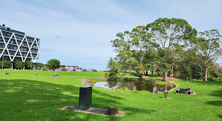 Manu-kau Noa Iho / Hayman Park - Lake in the middle of the park surrounded by open grassed space and established trees.