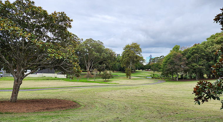 Manu-kau Noa Iho / Hayman Park - Open grassed space with established trees and a path running through the middle.
