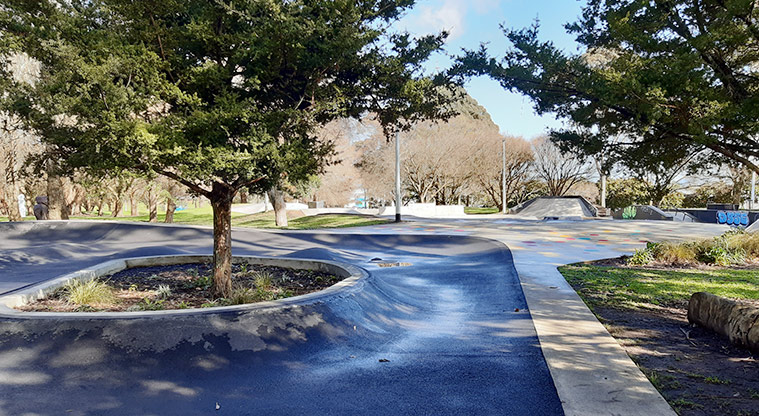 Manu-kau Noa Iho / Hayman Park - Section of the skate park with a tree in the middle.