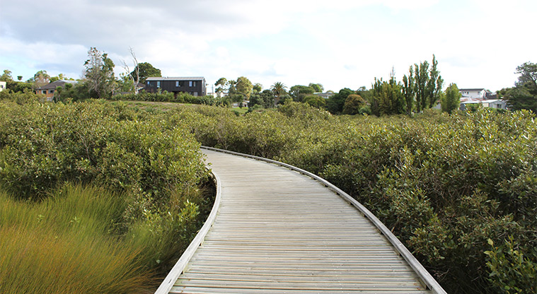 Heron Park - Section of the boardwalk.
