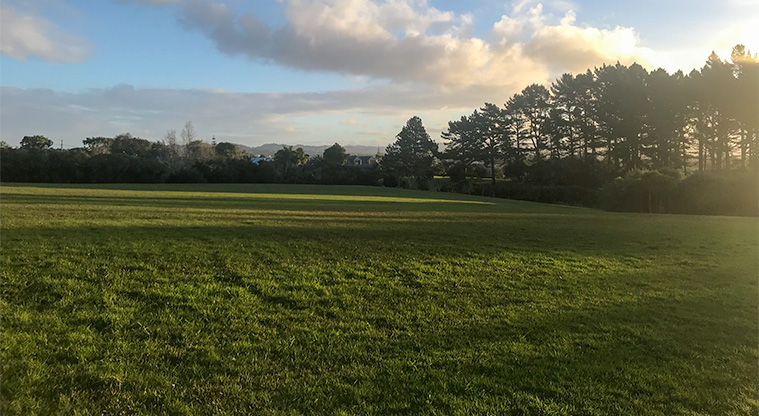 Heron Park - Open field for dog exercise.